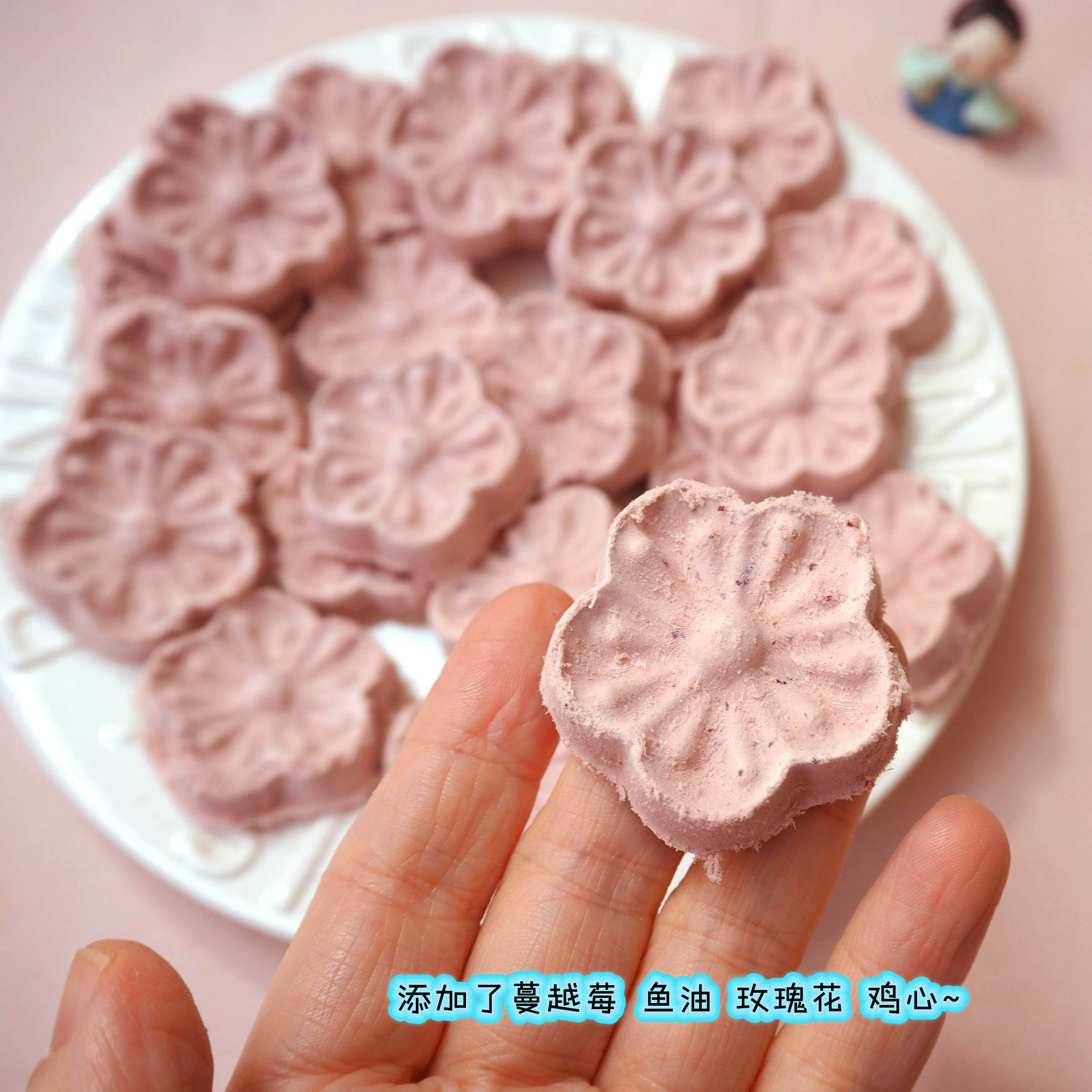 冻干蔓越莓鸡肉鲜花饼80g约23个犬猫喜欢美毛泌尿道高颜值鲜花饼,淘宝优惠券,粉丝福利购,淘宝优惠卷