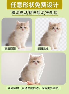 抠图冰箱贴单个装宝宝宠物狗狗冰箱贴软磁定制照片合照批发相片贴