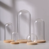 Стеклянный стенд, кукла, конструктор, настольная модель рук, ручка, фигурка