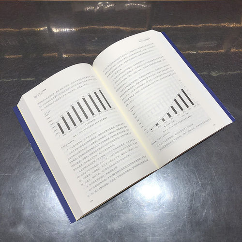 REITs：中国道路 人民出版社 金融投资书籍 - 图1