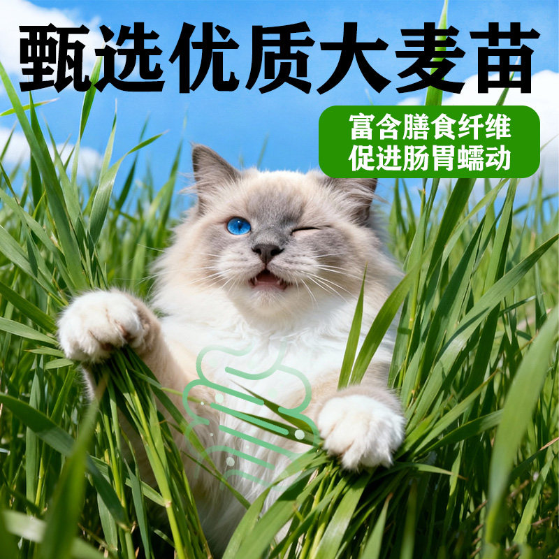 卷尾巴冻干鸡肉磷虾饼零食饼干成幼猫营养护毛猫草化毛护肠猫零食,淘宝优惠券,粉丝福利购,淘宝优惠卷