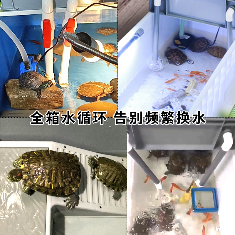 乌龟专用缸周转箱沼泽过滤箱生态缸内循环净水鱼龟混养水池饲养盒-图2