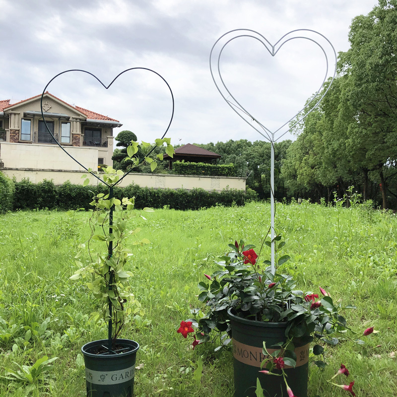 爬藤花架C心形爬藤支架铁线莲月季山乌龟造形花架子铁艺攀爬花支-图2