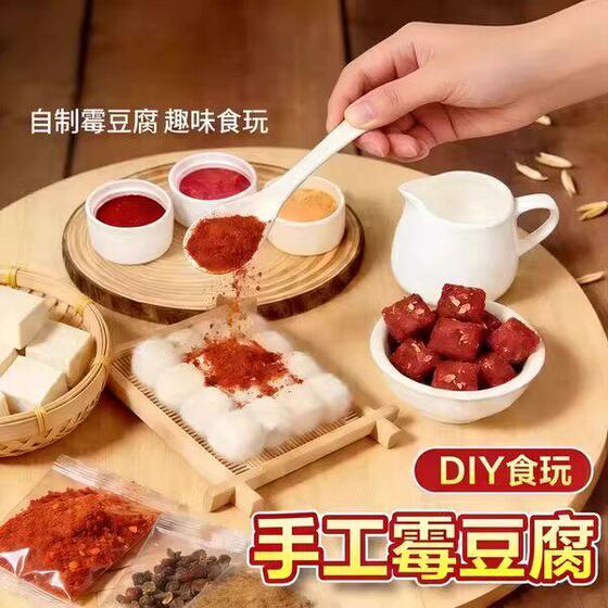 Moldy Tofu Toy Set Simulation Handmade DIY Materials