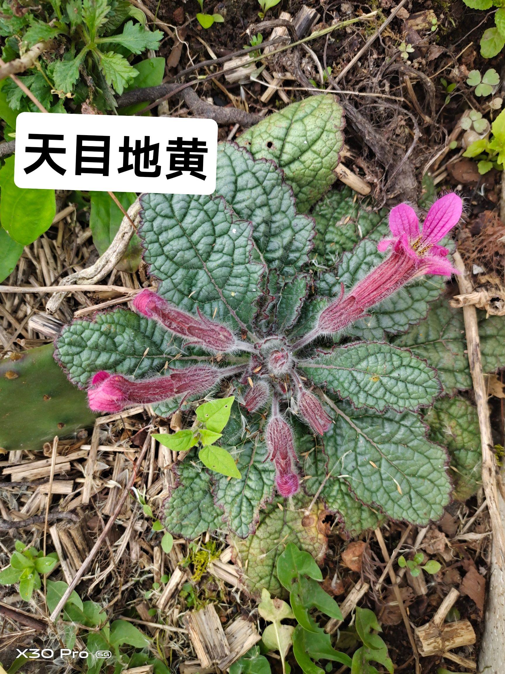 图5