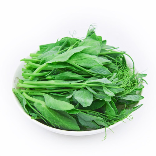 四川豌豆尖种籽豌豆尖种子豌豆苗种子秋季蔬菜种孑豌豆苗种子大全 - 图3