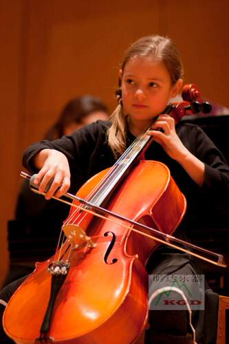美国原装Cello Phant 大提琴握弓器持弓器运弓器 尺寸通用 - 图1