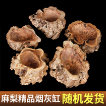 Hemp Peels Goose Bumps Solid Wood Cigarette Ash Trays Tobacco Accessories Special Tools Individuality Creative Men Gifts