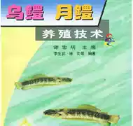 月鳢七星鱼 新人首单立减十元 21年10月 淘宝海外