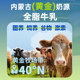 Mengbei Inner Mongolia Grassland Pet Milk 625ml