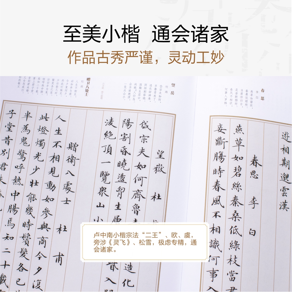 卢中南小楷唐诗三百首宋词作楷作品集华夏万卷楷书字帖硬笔小楷临摹毛笔软笔书法爱好者女生练字古诗词卢楷书大学生成人练字男书法-图1