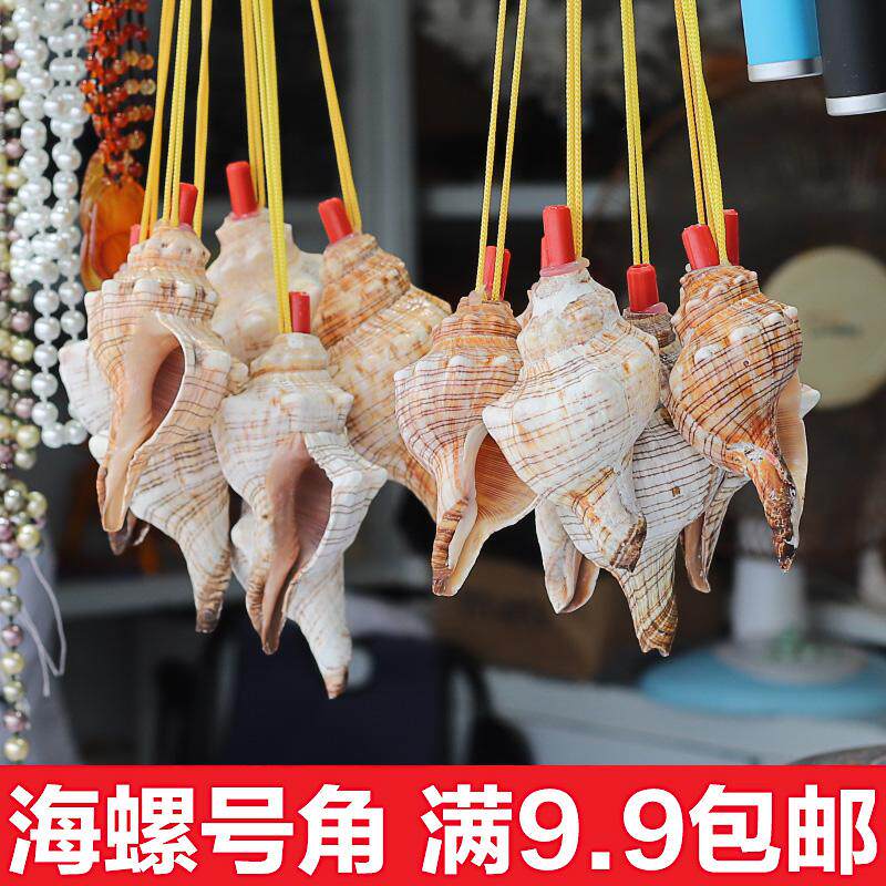  晶嘉悦海螺/贝壳/珊瑚