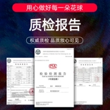 La La La La Team Team Flower Dance Ball Ball Dance Dance Ball School School La La La La