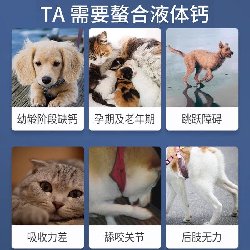 MAG狗狗螯合液体钙乳钙犬用幼犬小型犬钙片成犬钙粉宠物猫咪钙液,淘宝优惠券,粉丝福利购,淘宝优惠卷