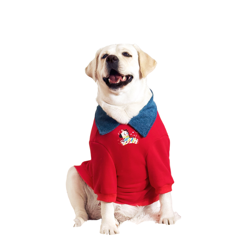 大型犬衣服拉布拉多金毛新年衣服马年喜庆过年保暖冬宠物加绒衣服,淘宝优惠券,粉丝福利购,淘宝优惠卷