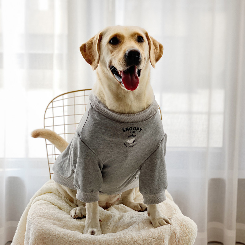 狗狗衣服大型犬潮牌拉布拉多金毛春秋薄款衣服可爱保暖帅气衣服,淘宝优惠券,粉丝福利购,淘宝优惠卷