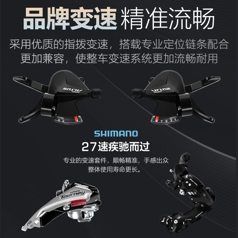  phillips公路自行车