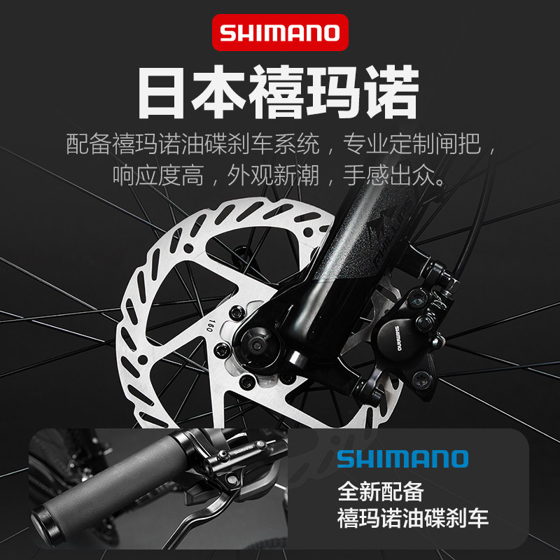 菲利普碳纤维山地车超轻禧玛诺前叉 phillips山地自行车