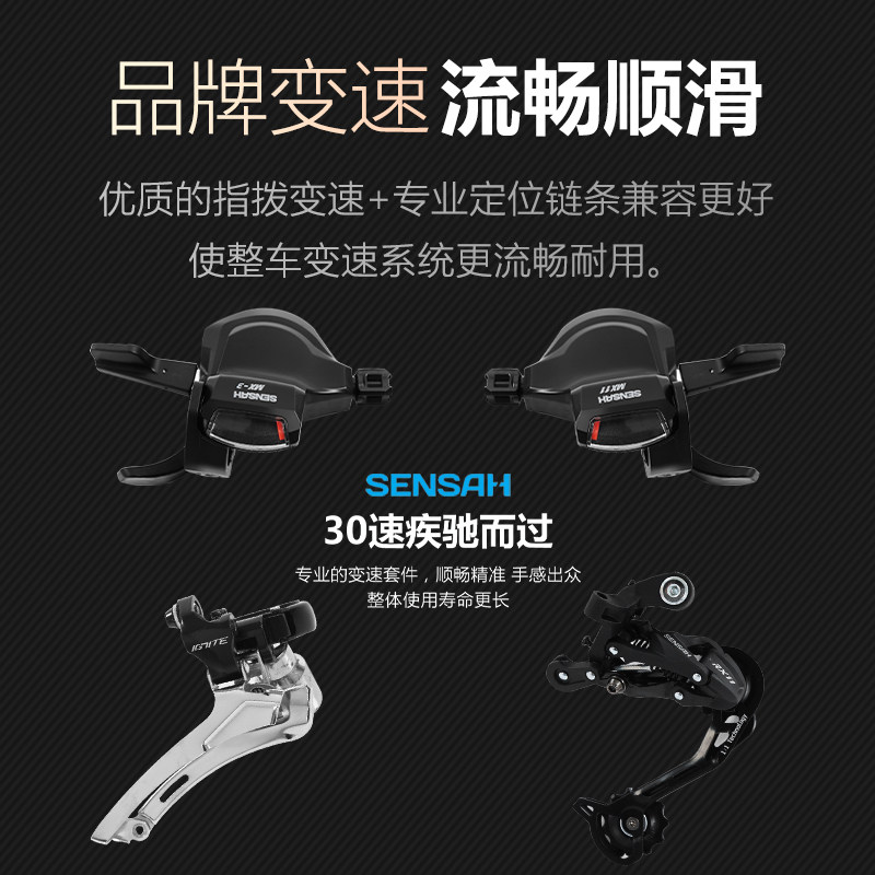  phillips山地自行车