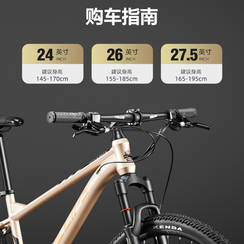  phillips山地自行车