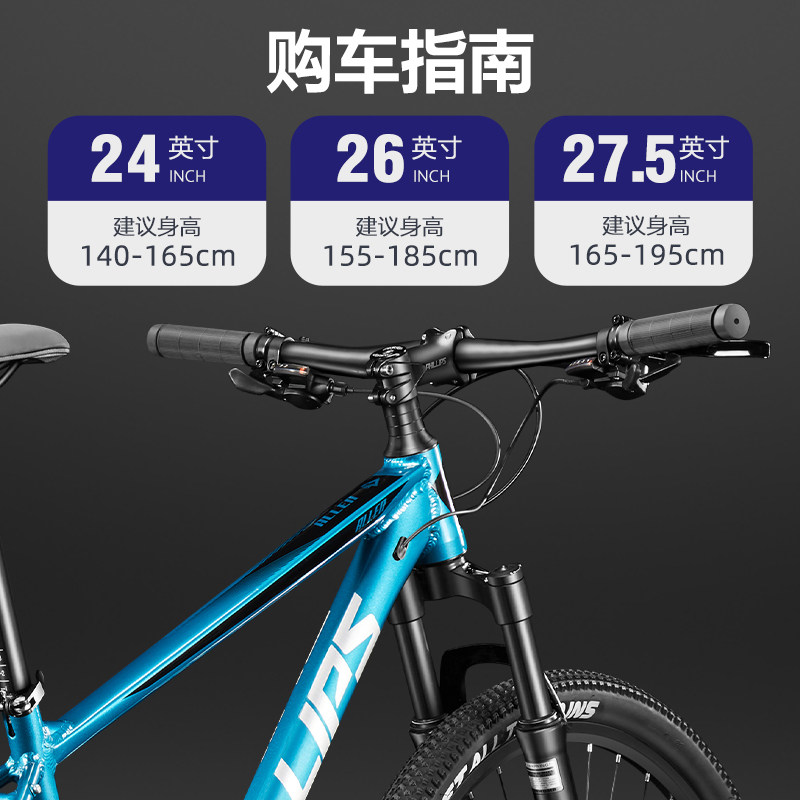  phillips山地自行车