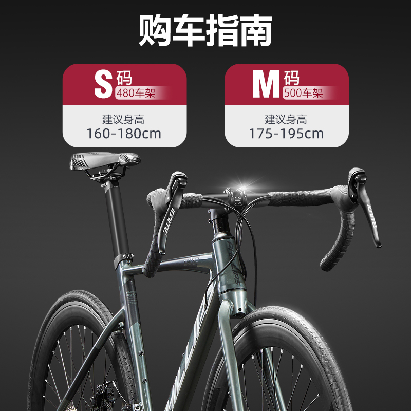  phillips公路自行车