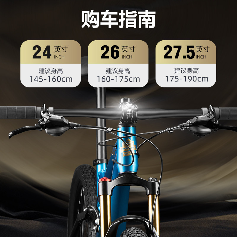  phillips山地自行车