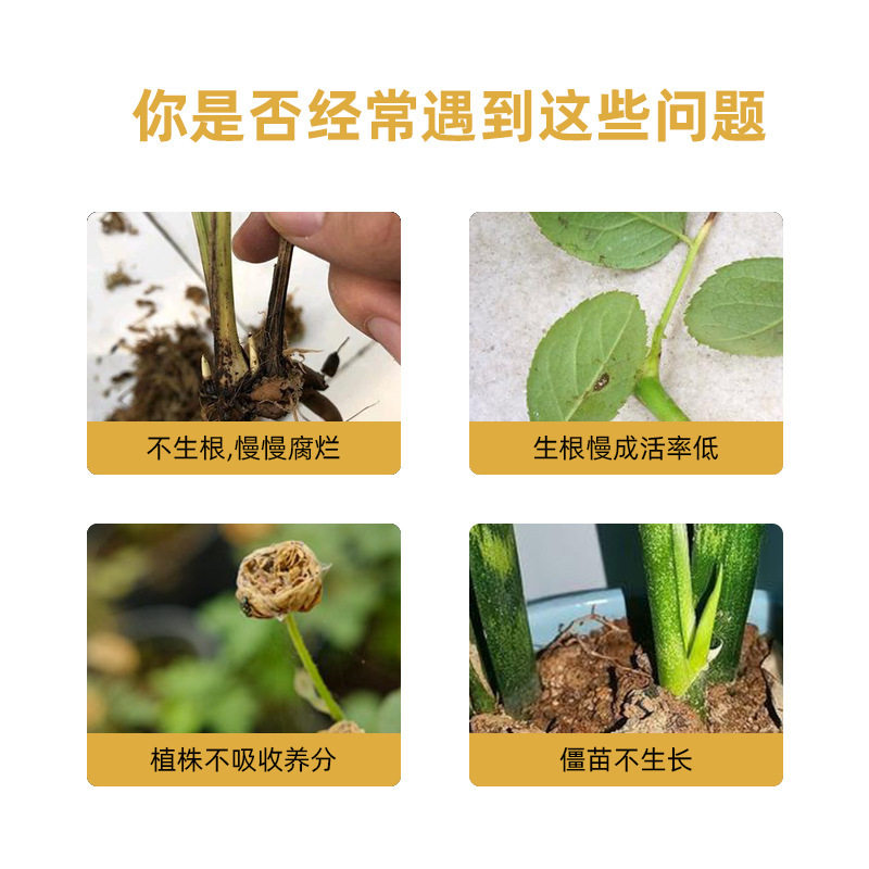 园林快速生根剂草木营养液树木养护果蔬生长厂家批代发抖音,淘宝优惠券,粉丝福利购,淘宝优惠卷