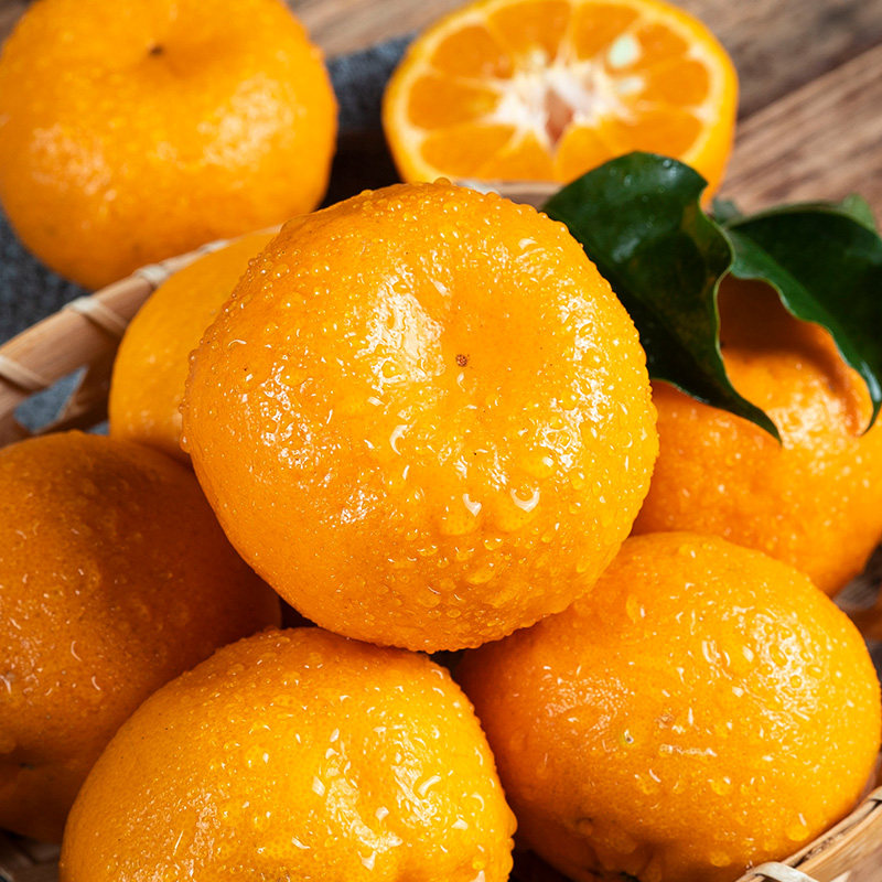 长阳椪柑新鲜橘子孕妇水果薄皮蜜柑子桔子湖北宜昌特产带箱2250g
