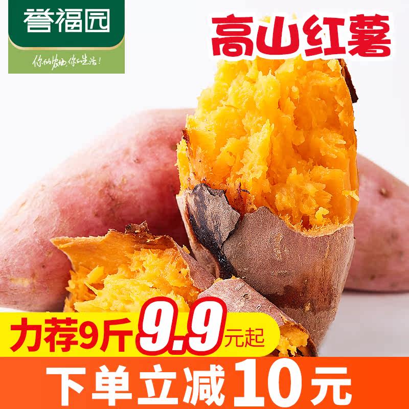 【誉福园】三峡高山种植蜜薯农家番薯 誉福园番薯