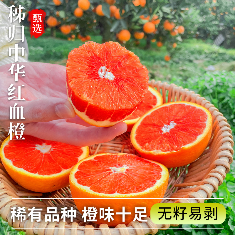 血橙新鲜水果秭归中华红橙子10斤当季整箱大果南赣脐红心甜果冻橙