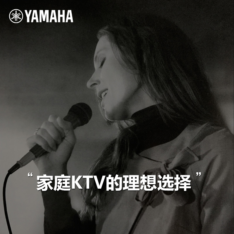 Yamaha/雅马哈DM-105话筒K歌家用舞台卡拉ok专业直播麦克风套装-图3