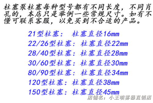 打药机柱塞 21/22/26/28/30/40/60/80/120陶瓷柱塞农用高压泵配件 - 图2