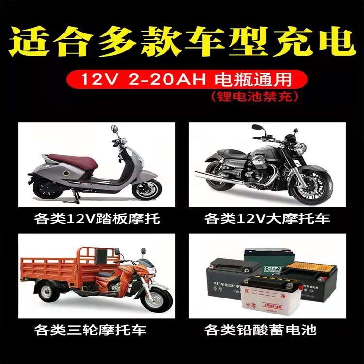 鑫东诚12V8-30AH单个电瓶充电器汽车摩托车电瓶充电器12V2A20AH - 图2