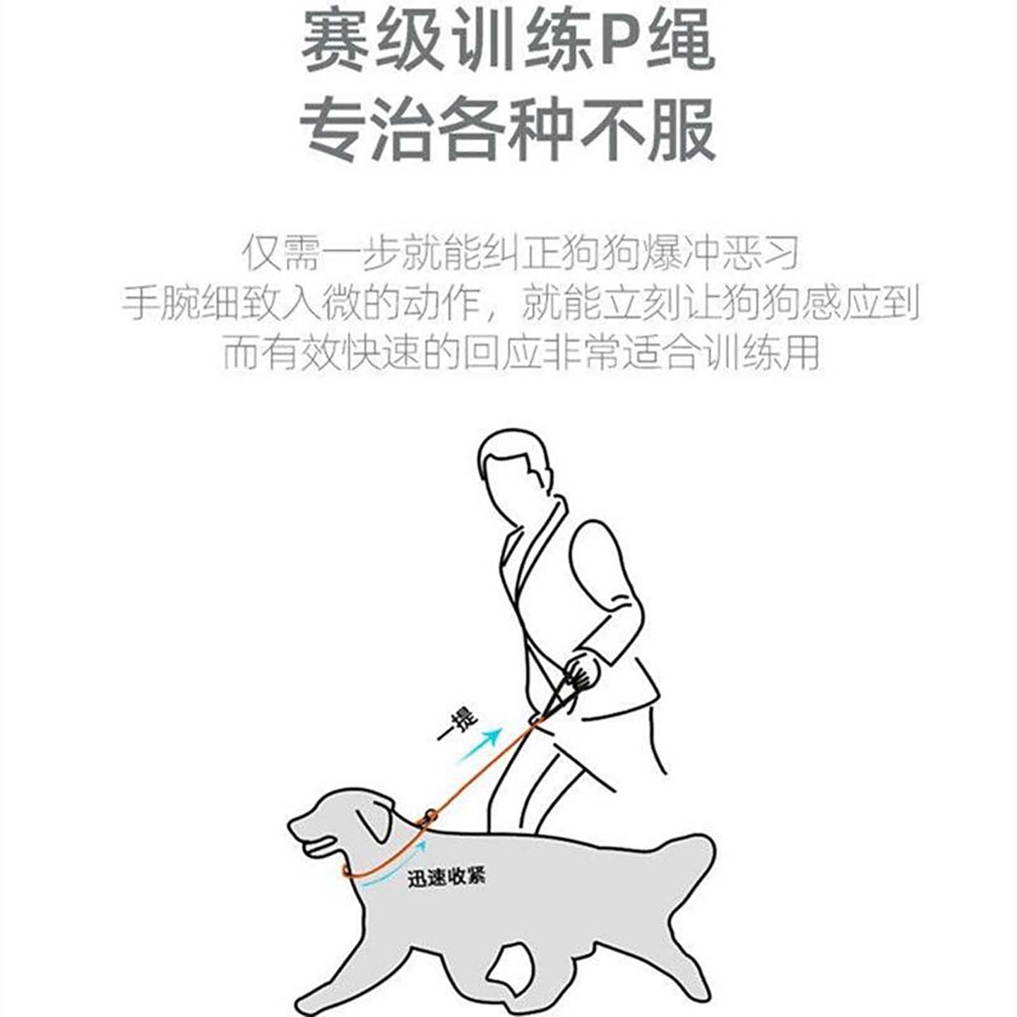 Dog training p rope explosion-proof impact collar traction rope p chain