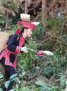 美人鱼姜蒸锡纸静养康