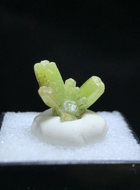 广西磷氯铅矿天然绿色矿物晶体原石盒子猫矿奇石摆件科普教学标本