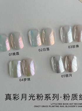 zyzc指优真彩美甲珍珠粉极光仙女魔镜粉月光粉指甲油胶装饰品