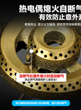 志高煤气灶双灶猛火燃气灶大火力不锈钢带熄火保护商用液化气台式