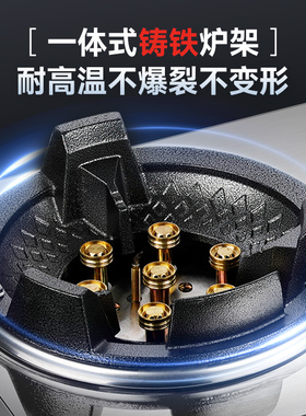 志高双头煤气灶单灶商用液化气燃气灶天然气台式猛火灶节能单眼