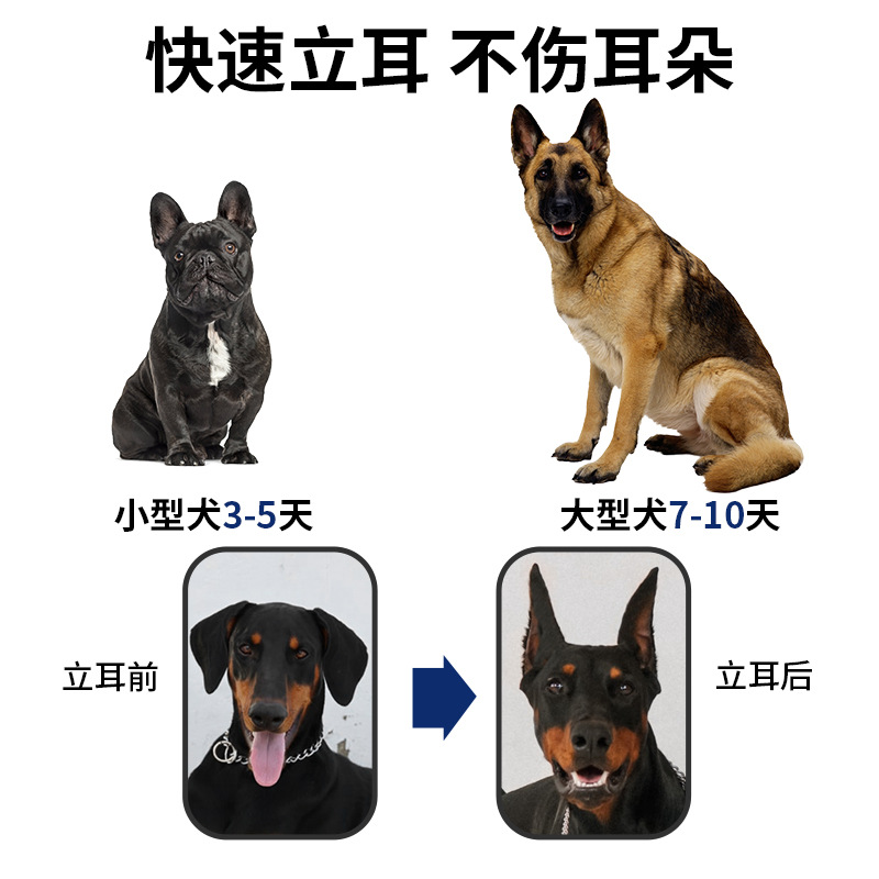 黑狼犬立耳器狗狗专用立耳朵神器小狗立耳贴辅助器竖耳器胶带夹子-图1