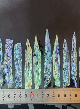 新西兰鲍鱼贝片螺钿片大漆螺钿片贝壳片漆器漆画漆艺镶嵌材料首饰