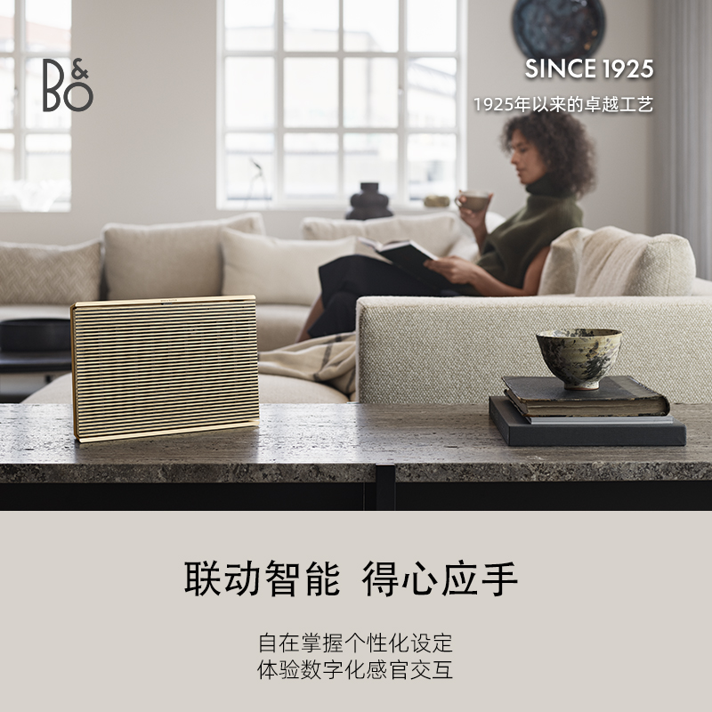 B&O BeoSound Level蓝牙音箱丹麦桌面客厅便携HIFI高保真bo音响 - 图2