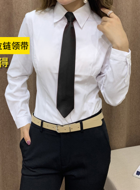 领带正装商务百搭纯色学生女士