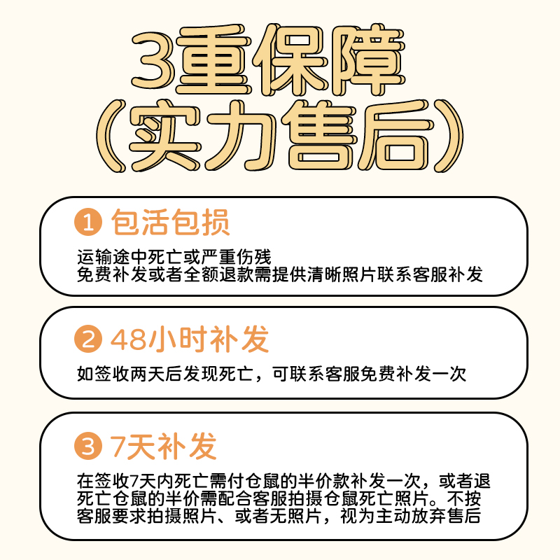 仓鼠活物一公一母免打疫苗送笼子三线金丝熊沙鼠通心粉鼠小宠物 - 图0