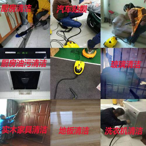 高温高压蒸汽清洁机熏蒸机汽车清洗机贴膜机除甲醛治理清洗油烟机 - 图2