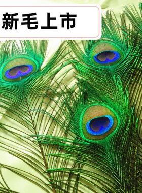 真孔雀翎纯天然孔雀羽毛翎尾大眼睛花瓶摆件DIY装饰家居供佛婚庆