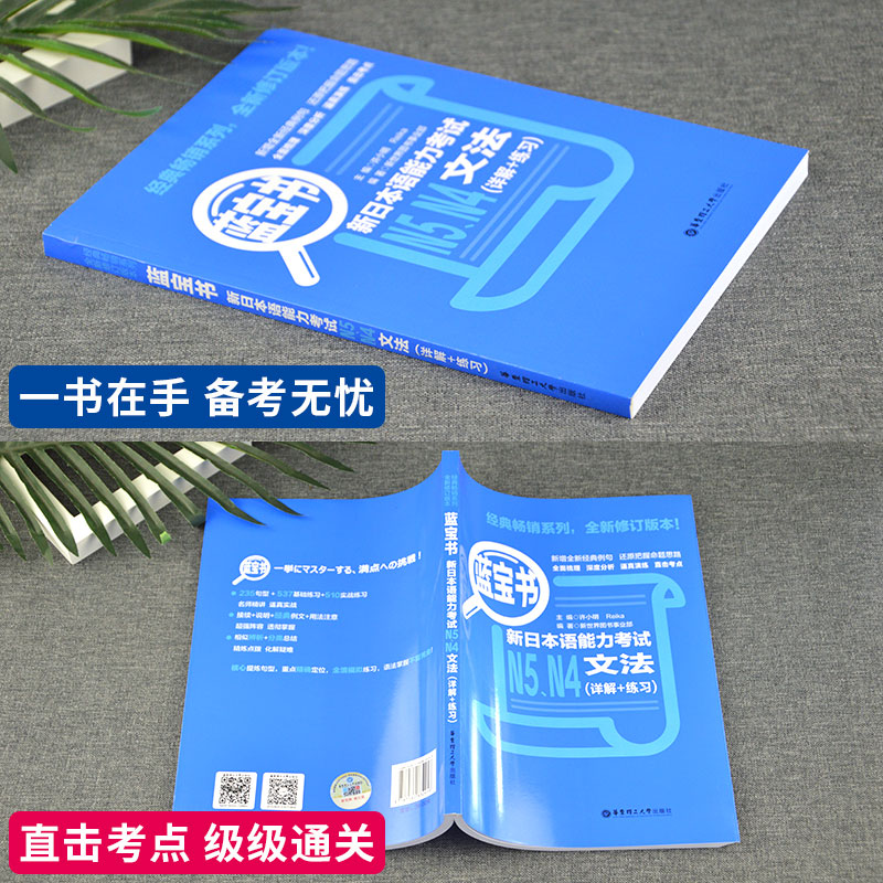 【正版现货】蓝宝书.新日本语能力考试文法N5.N4（详解+练习）日语能力考四级五级语法日语文法可搭标准日本语红宝书文字词汇-图1