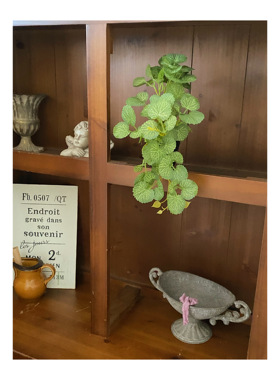 ins风家居日常绿植盆栽仿真花