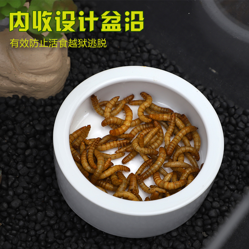 酷克爬虫守宫蜥蜴陶瓷食盆防逃爬宠鬃狮蜘蛛饲养箱活虫杜比亚食碗 - 图0